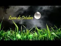 🌖💖🌓🌹   LUNA DE OCTUBRE By EUGENIA LEON Y CARLA MORRISON