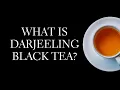 Download Lagu What is Darjeeling Black Tea - Brewing a Darjeeling Tea in the Gaiwan