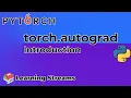 Introduction to Pytorch autograd Learning Streams 2