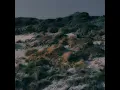 Riptide