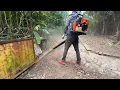 girl paid $18,000 for house overgrown with weeds that completely covered fence - unexpected ending