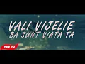 Download Lagu Vali Vijelie - Ba sunt viata ta [lyric video]
