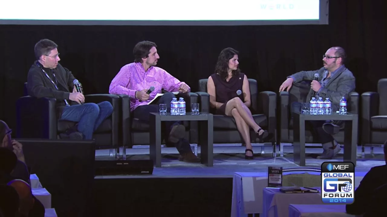 MEFGF14 Panel: Wearable Technology At The Intersection of mHealth