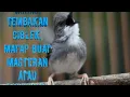Download Lagu 3 variasi tembakan ciblek kristal