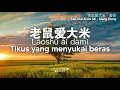 老鼠爱大米 Lao Shu Ai Da Mi - 香香 XiangXiang [Pinyin + Transtation]
