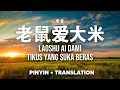 Download Lagu 老鼠爱大米 Lao Shu Ai Da Mi - 香香 XiangXiang [Pinyin + Transtation]