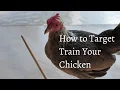 How to Target Train your Chicken