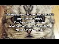 Banda cuisillos - Mil Heridas, Letra/Lyrics, (Letras Jei-Vi)