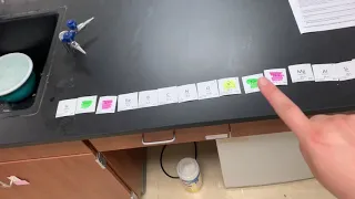 Organizing Elements Activity Full