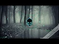 Skan - Giant (Hillgraaf Remix) (Bass Boosted)