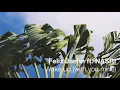 Download Lagu Felix Jaehn ft. NASRI - Wake Up (With You Mine) (Official Lyric Video)
