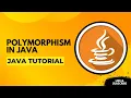Polymorphism in Java Java Explained for Beginners 2025
