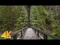 4K Pratt River Trail - Mystic Forest Virtual Walk