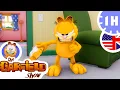 Lagu Garfield loses his memory ! - Full Episode HD