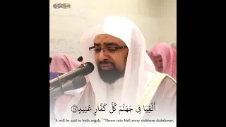 قال قرينه ربنا ما أطغيته ولكن كان في ضلال بعيد  الشيخ ناصر القطامي ثلاوة خاشعة  دندنها