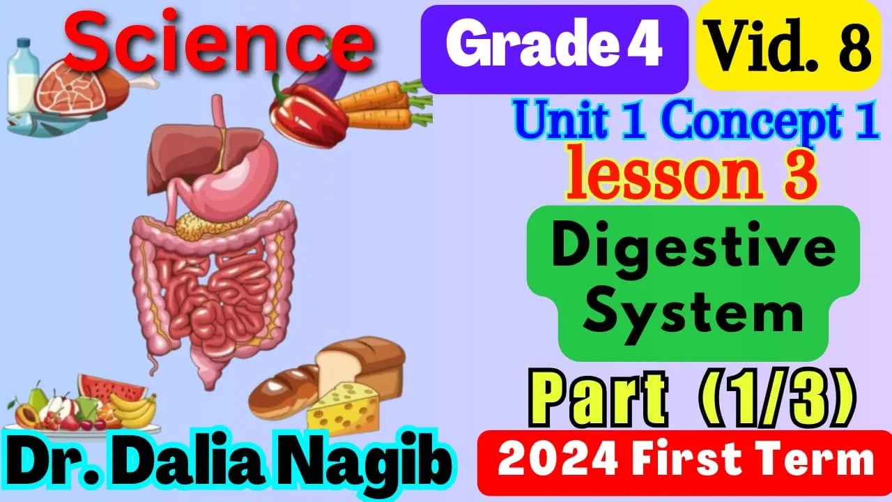 ساينس رابعه ابتدائي المنهج الجديد Science Grade 4 Digestive System Concept 1 Lesson 3 Part 1