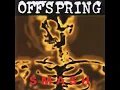 Download Lagu The Offspring   Smash Full Album