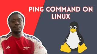 ping command on Linux