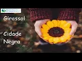 Girassol - Cidade Negra Letra
