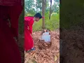 Lagu Dara di kubur peri merah