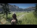 Red Dead Redemption 2 - Free Litchfield Repeater