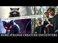 Download Lagu “I Saw it Flying Towards Me”: More Strange Creature Encounters | Paranormal Stories