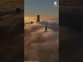 Fog in San Francisco s Bay Area