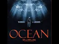 T.K. Kravitz Ocean Clean