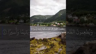 ويطعمون الطعام على حبه مسكين ا ويتيم ا وأسير ا عبدالله الموسى 