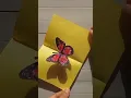 DIY butterfly pop-up card easy idea