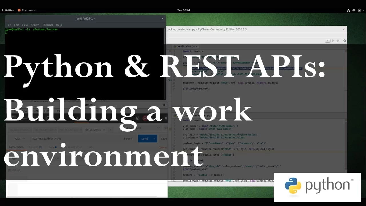 Python and REST APIs 1: Building a work environment