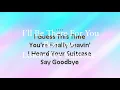 Bon Jovi - I'll Be There For You ( Karaoke Lower Key)