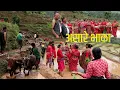 Download Lagu Asare Bhaka ।। असारे भाका ।। Folk song of Nepal #song of #nepal