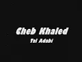 Cheb Khaled - Tal Adabi HQ
