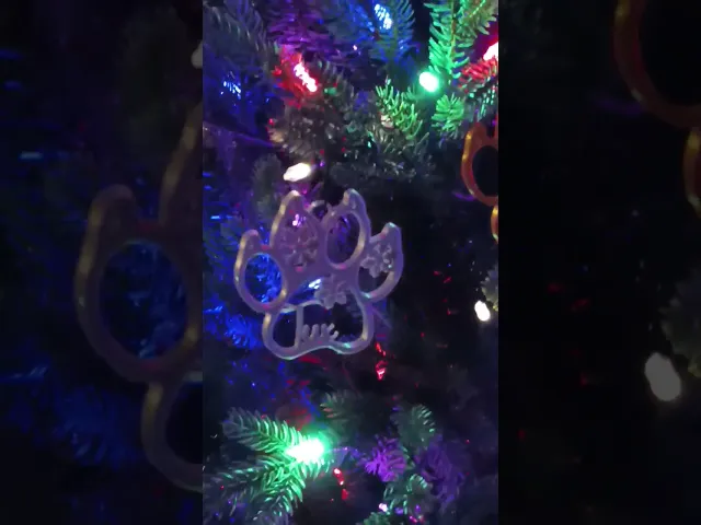 Cat Paw Print Christmas Ornament video thumbnail
