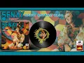 Şenay - Hayat Bayram Olsa (1972)