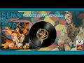 Download Lagu Şenay - Hayat Bayram Olsa (1972)