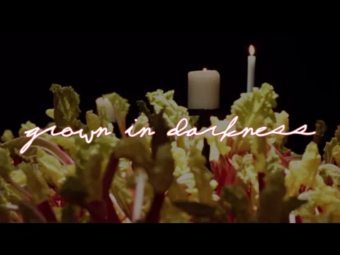 GROWN IN DARKNESS Trailer | VIFF 2022