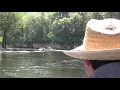 River Logging on Withlacoochee River Logs Lost for 140 Years