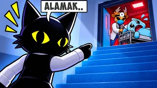 Lantai 2 Animal Hospital Anomaly Akhirnya KEBUKA, Aku Masuk Duluan! (Update Terbaru)