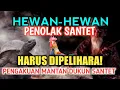 Download Lagu 5 HEWAN PENOLAK SIHIR ATAU SANTET - PENGAKUAN MANTAN DUKUN