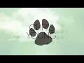 Chris Young - All Dogs Go to Heaven (Official Lyric Video)