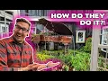 AMAZING Indoor Garden Installations Tour