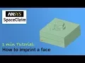 1 min SpaceClaim Tutorial How to imprint a face