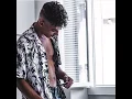 Dj Kayz - Bled ft. Moha K (Officiel Audio )