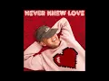 Riton & Belters Only - Never Knew Love ft. Enisa (Studio Acapella)