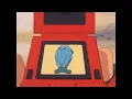 Wynaut and Wobbuffet Pokedex Entries wmv