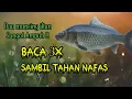 Download Lagu DOA MANCING IKAN SANGAT AMPUH | DOA UNTUK MANCING | DOA NABI SULAIMAN \u0026 DOA NABI KHIDIR