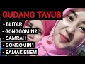 TAYUB - BLITAR , GONGGOMIN2 , SAMRAH1, GONGOMIN1, SAMPAK ENEM