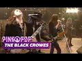 Download Lagu The Black Crowes - Full Concert [HD] | Live at Pinkpop 1993